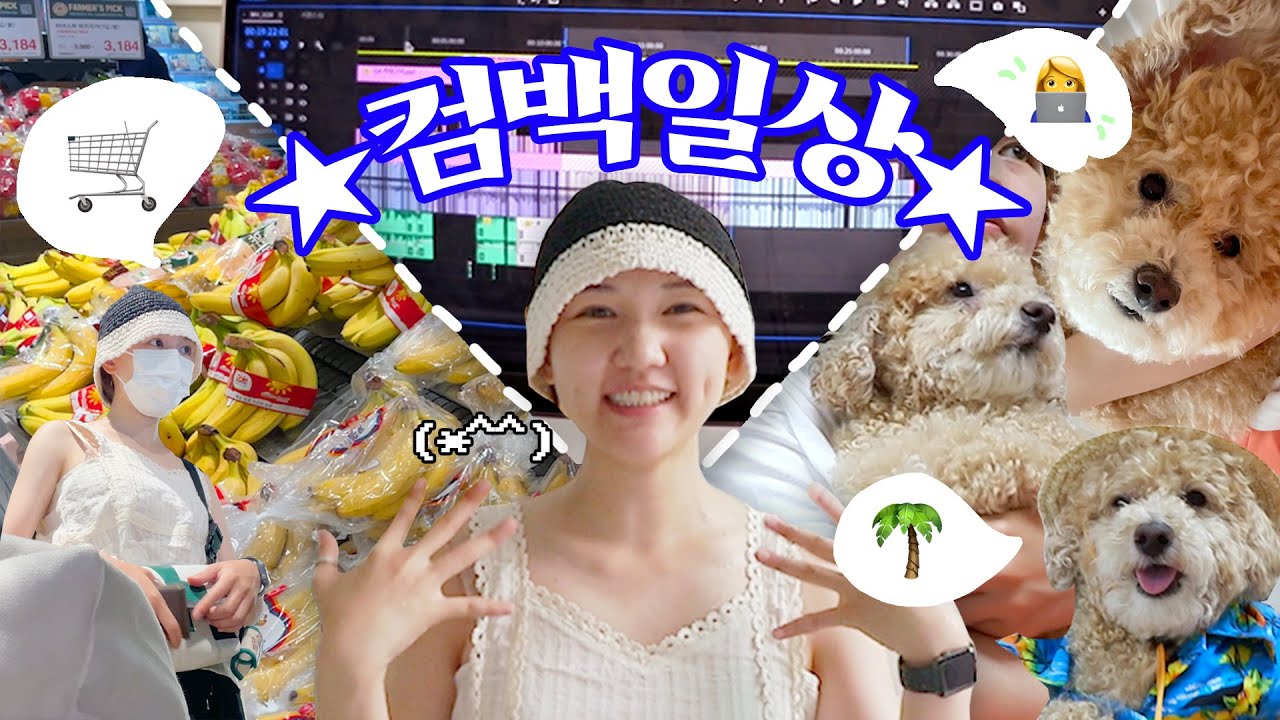 드디어 돌아온 한국에서의 VLOG : 아니 근데 오자마자 이럴 수 있어🤷,,,? (우당탕탕 집수리(?),짐정리,장보기,밀린 촬영과 편집하기,미국에서 사온 가족 선물주기)