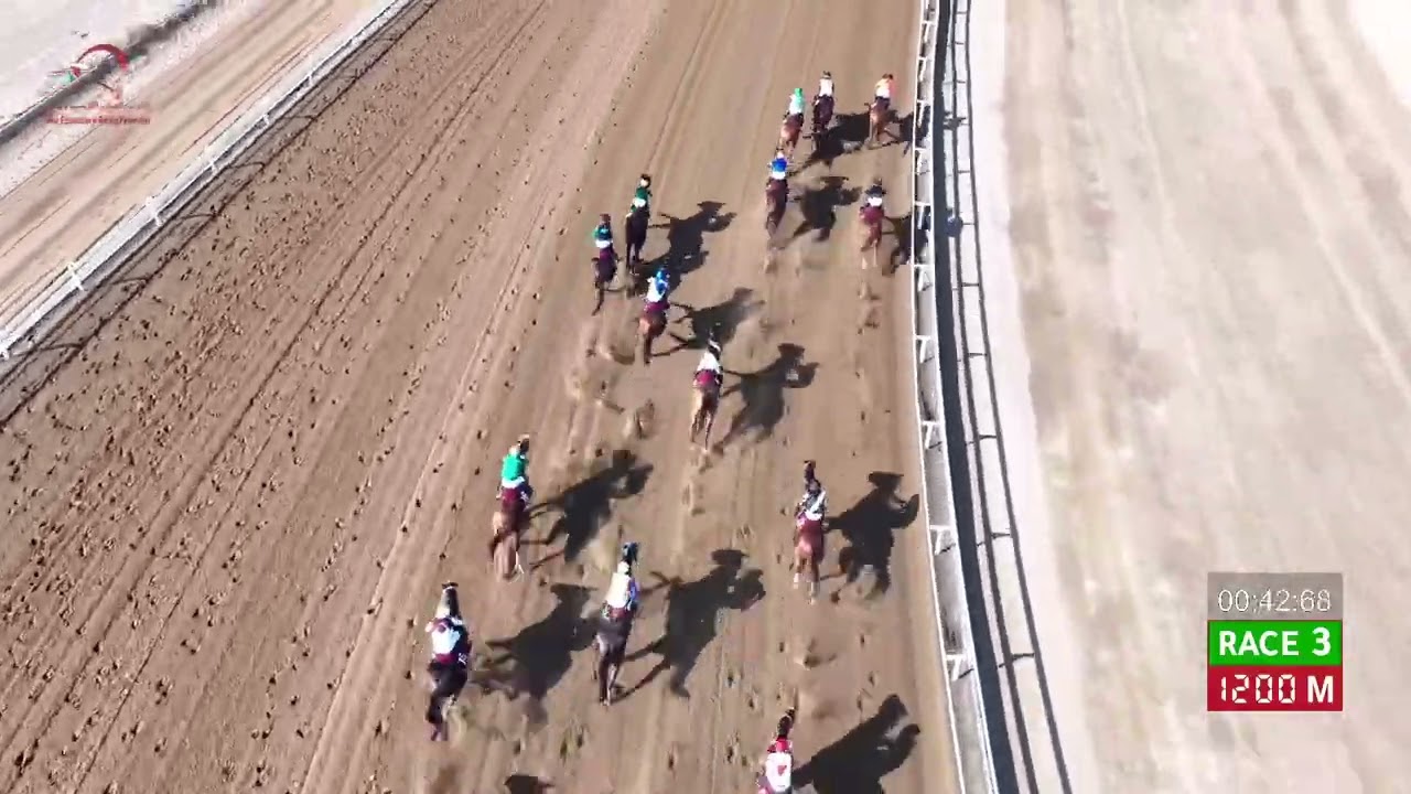 Race 3 - 12th Meeting - Rahba - 15/01/2026