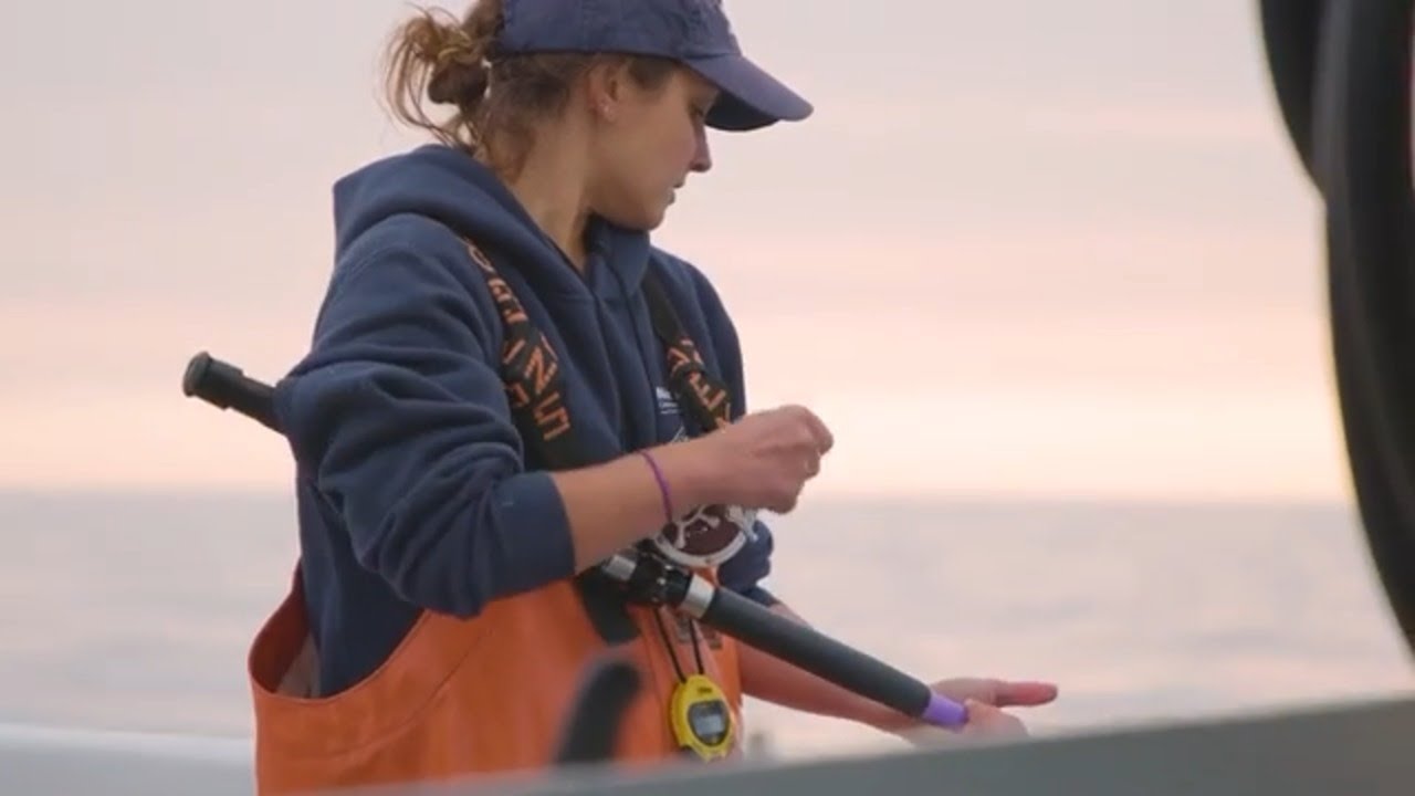 Recreational Anglers: Ensuring the Health of Cod and Haddock