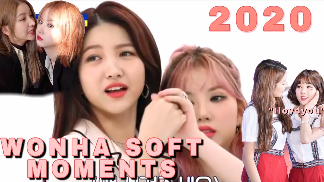 the small and tall couple | WONHA 2020 moments