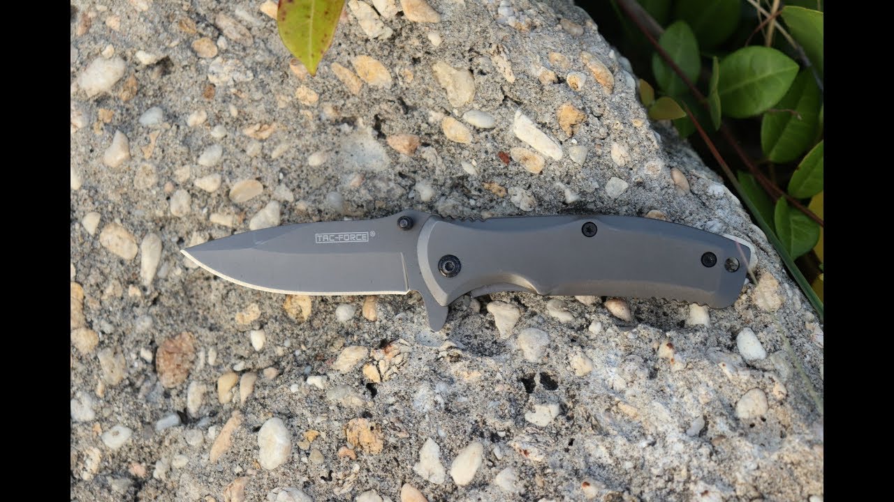 Tac Force TF-848 Spring Assist Folding Knife, Grey Titanium Straight Edge Blade, Grey Handle