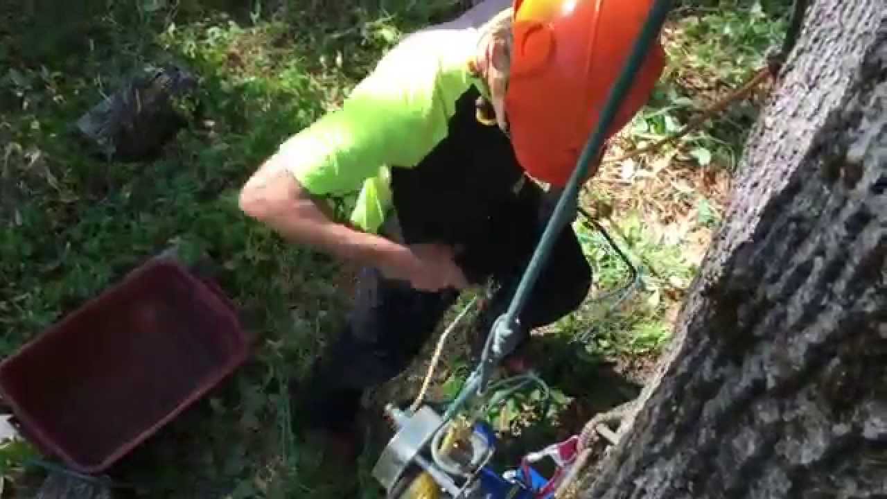 Lowering & Lifting Device for Arborists
