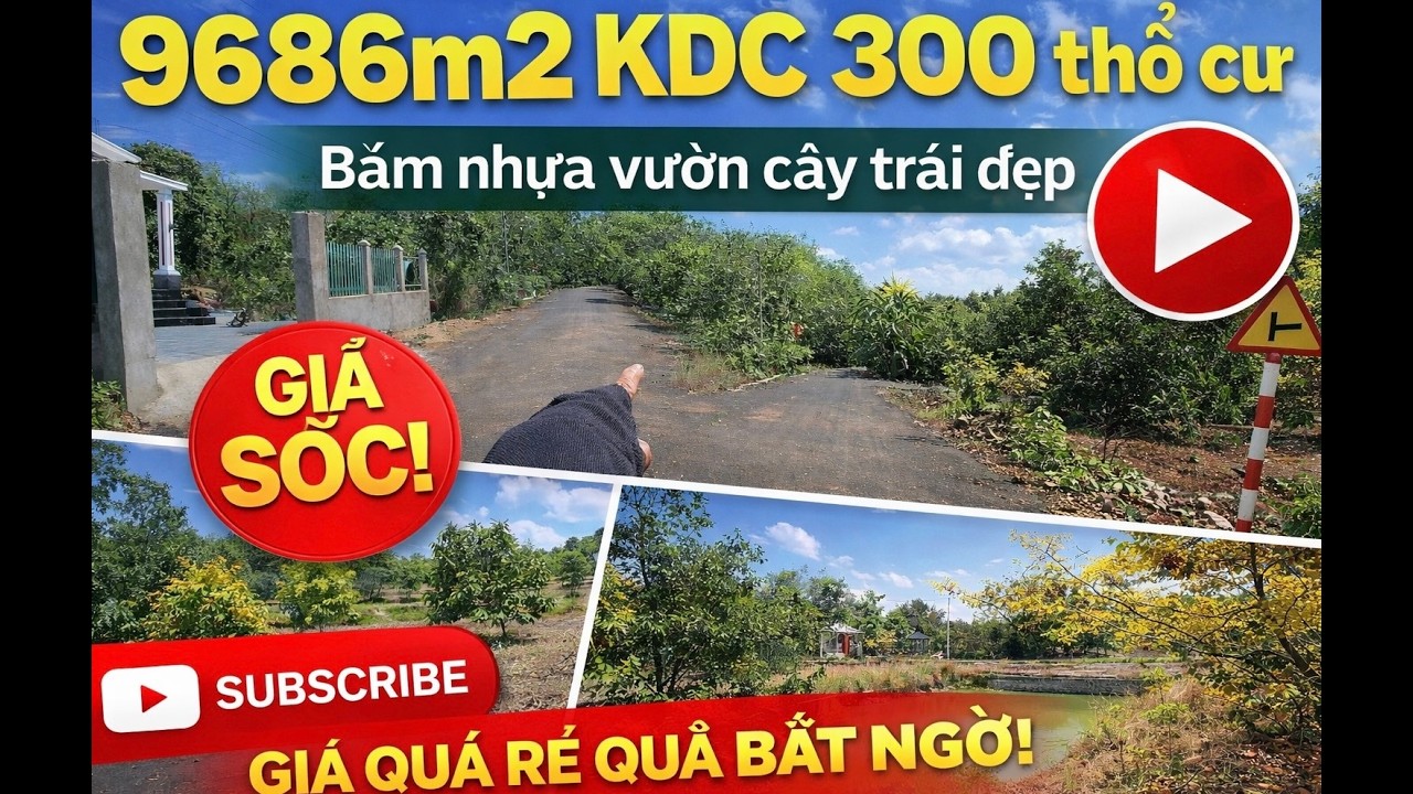 CÓ TIỀN MUA LÔ NÀY THÌ BAO LỜI LUÔN. phủ hồng sẵn 300 thổ cư vườn trái cây ao cá..... NGỘP BÁN GẤP.