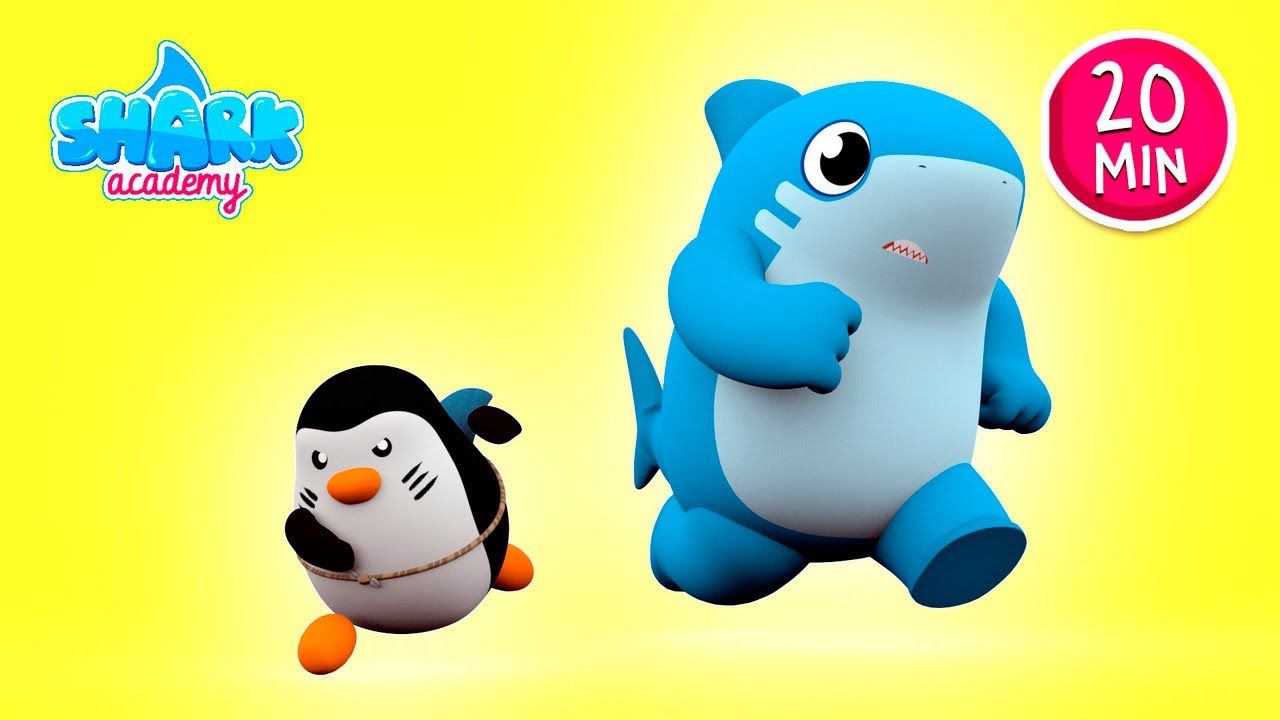 Shark Academy Os SHARKS correm pelo COOKIE Músicas para crianças, canções para crianças