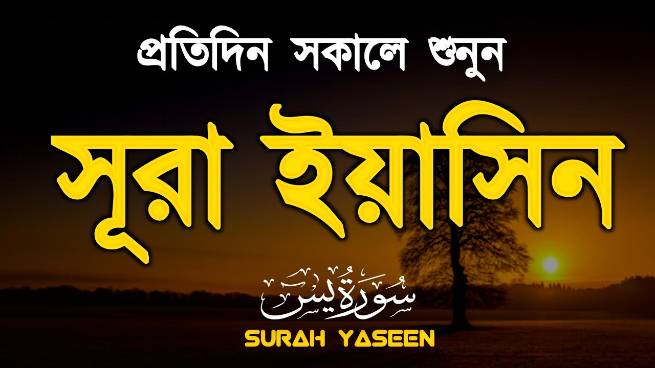 (প্রতিদিন সকালে শুনুন) আবেগময় কন্ঠে সূরা ইয়াসিন | Quran Tilawat | Surah Yaseen by Alaa Aqel