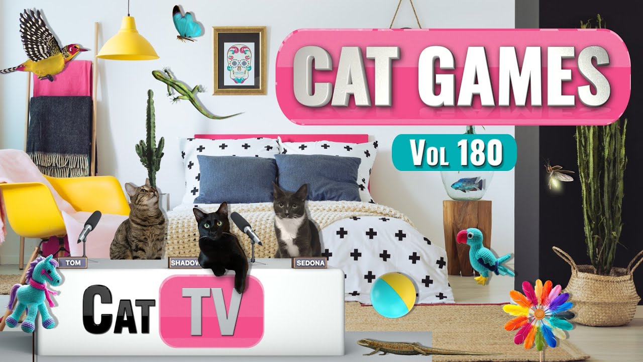 CAT Games | Ultimate Cat TV Compilation, том 180 | 8 ЧАСОВ 🐝🐞🦋🦎🦜🐜🐭🧵
