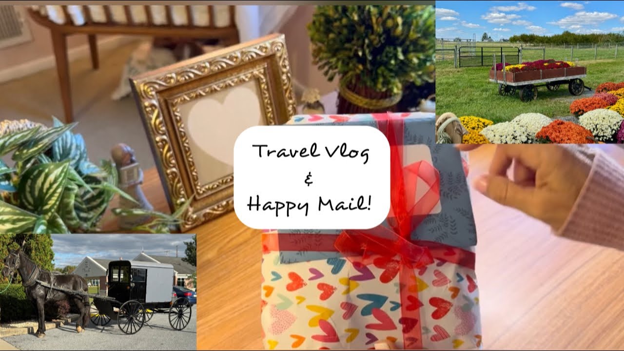 Amish Country & Happy Mail! Come see! #reborncommunity @SuzannesBabies 