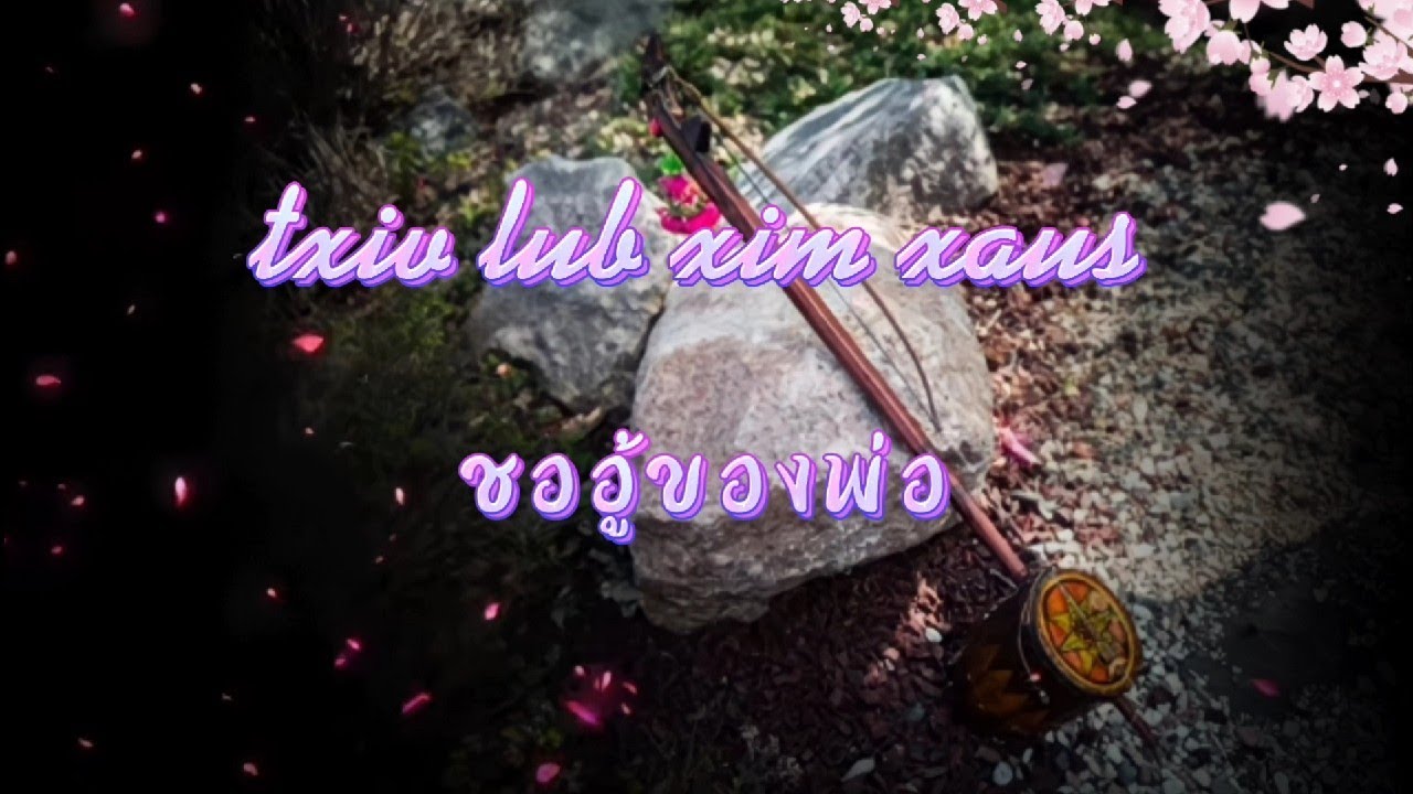 txiv lub xim xaus ชออู้ของพ่อ(by maa vue)