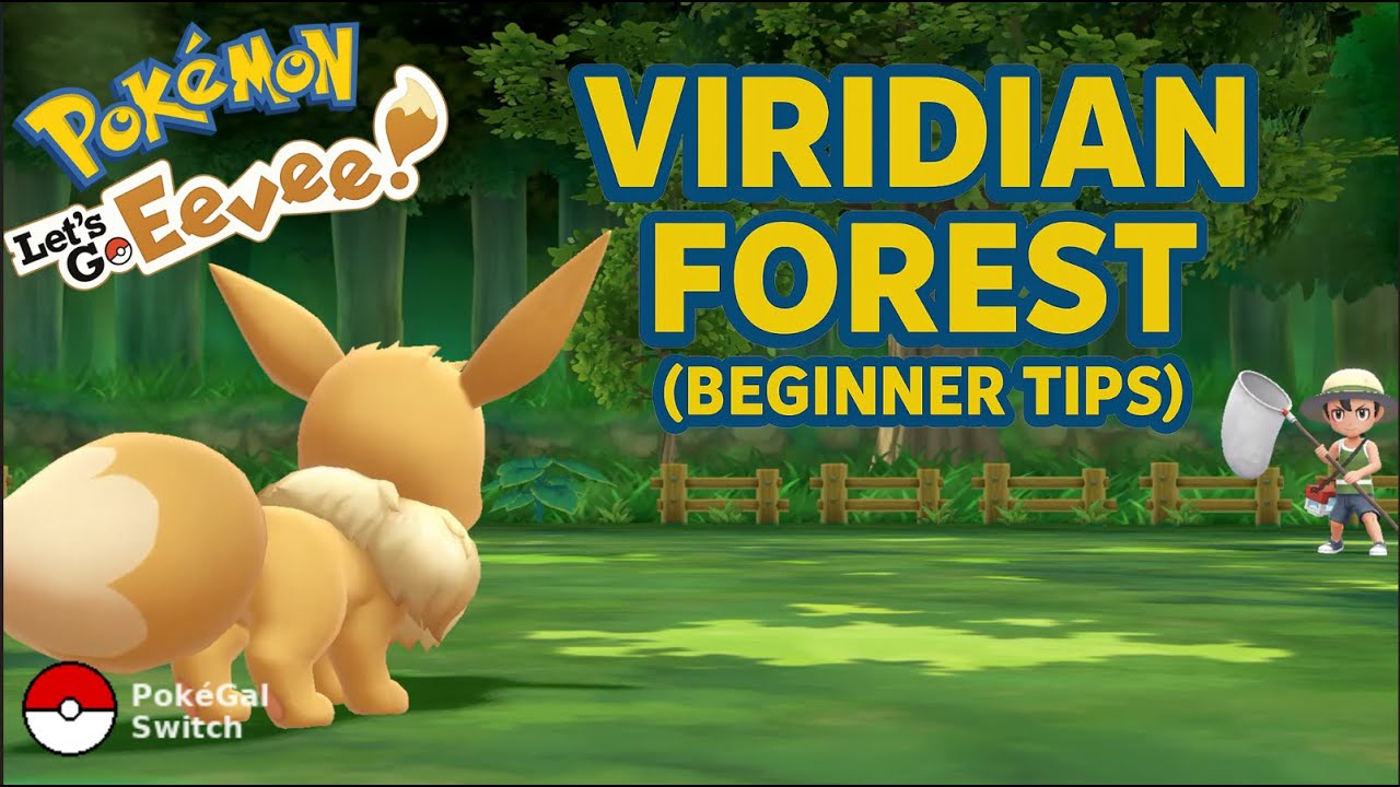 5 Things to do BEFORE leaving Viridian Forest - Pokémon Let's Go