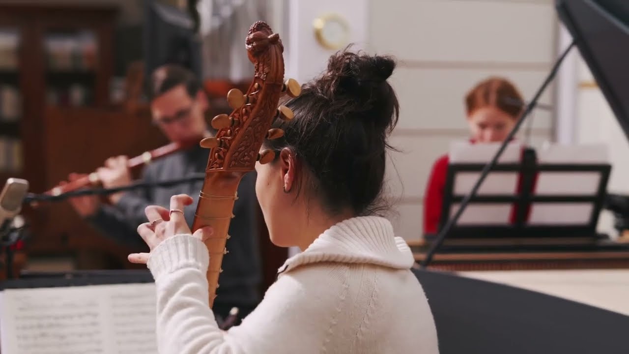 Telemann Trio Sonata in A MINOR TWV42:a4 for flute, viola da gamba and BC