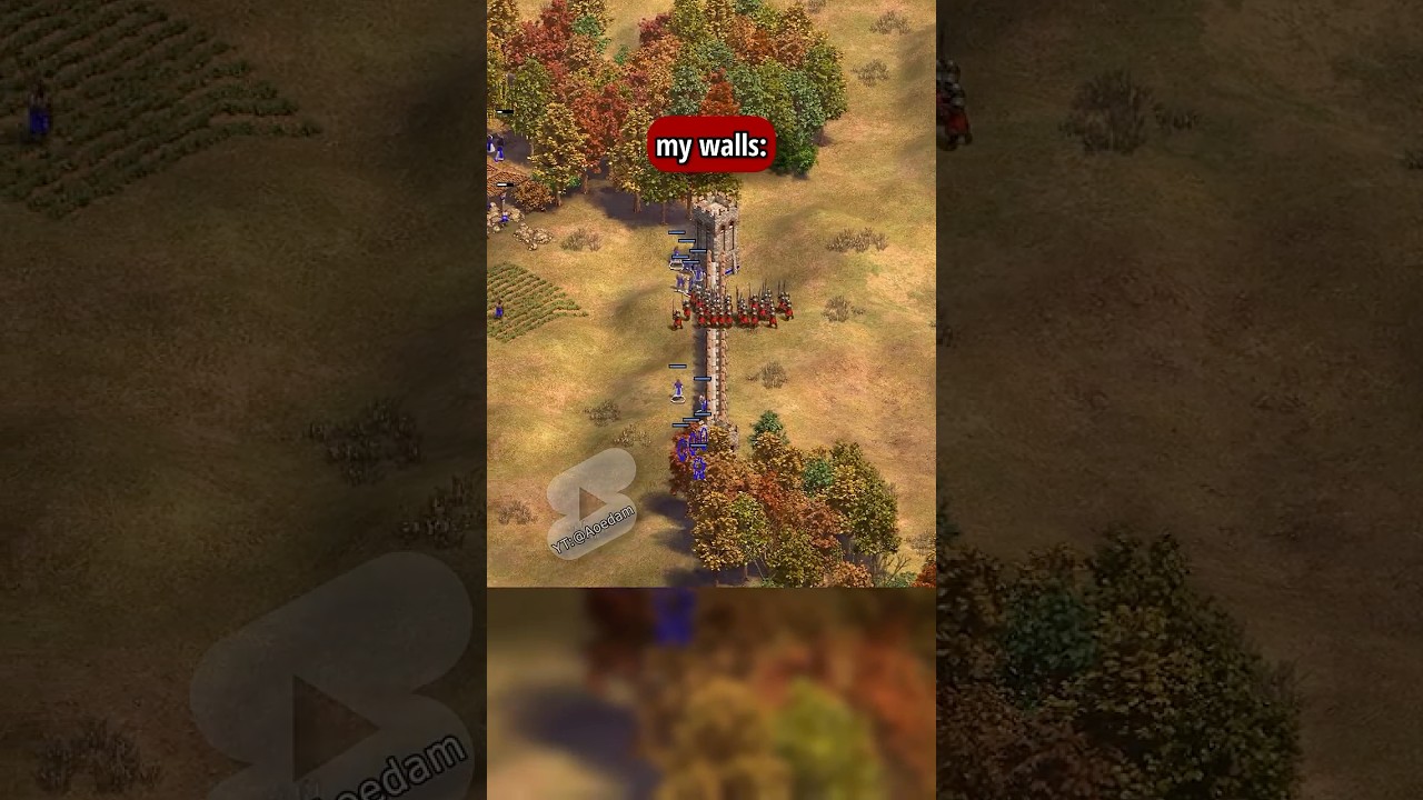 I hope my base is walled - [AoE2/Age of Empires 2]