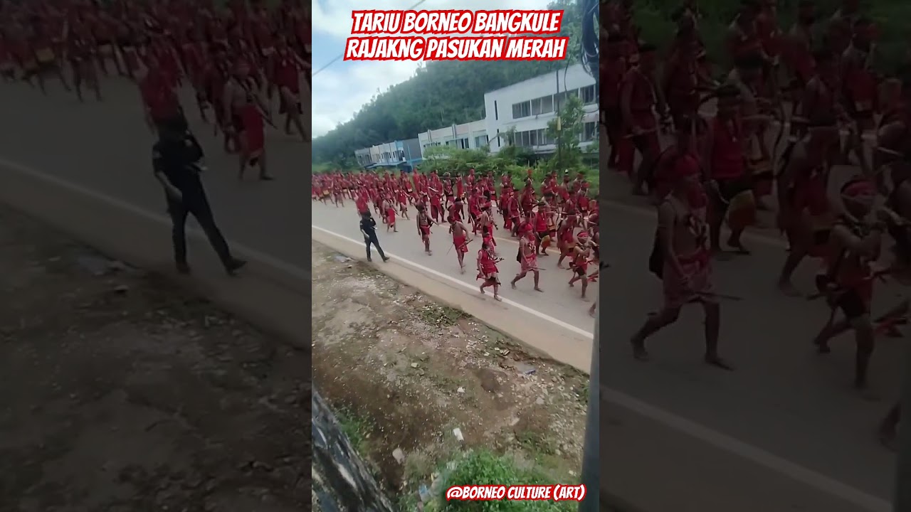 Pasukan Merah (Tbbr) Panglima Jilah #kalimantan #dayak #borneo #sarawak #panglimajilah #pasukanmerah