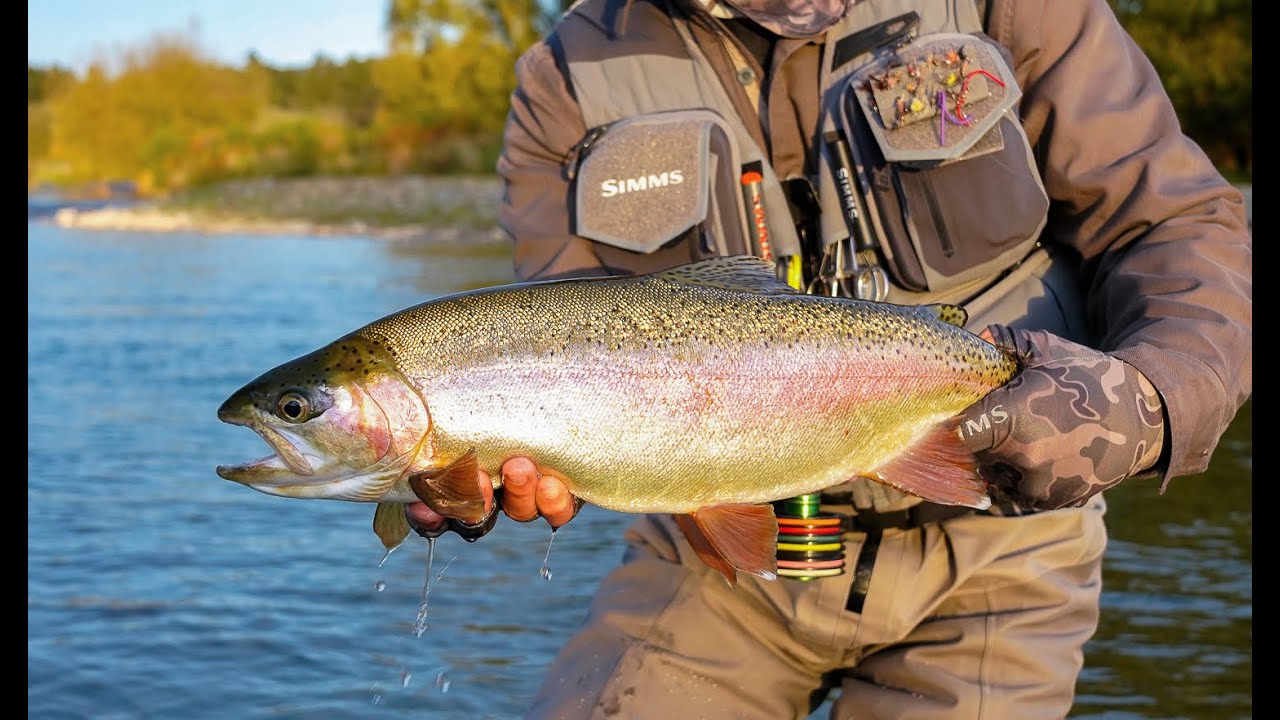 SOLVING THE PUZZLE - Dry fly Fishing New Zealand.