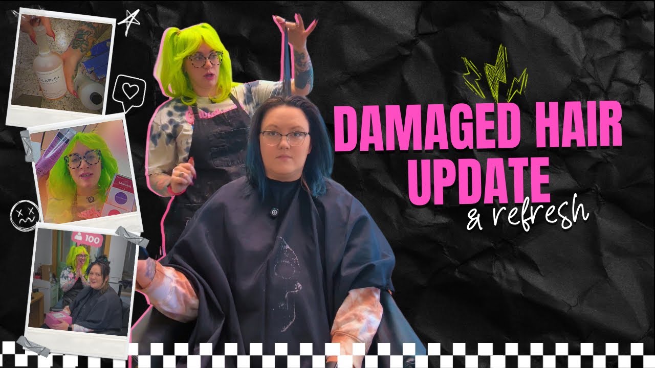 DAMAGED Hair Update & Refresh