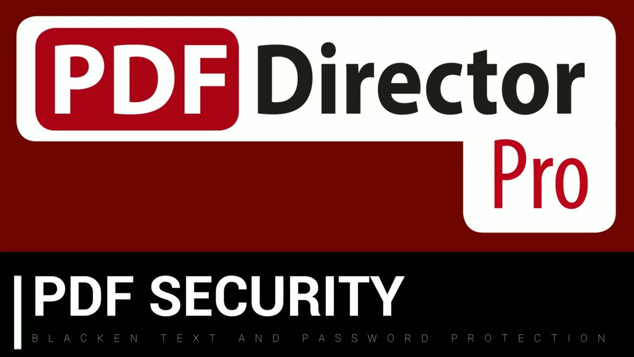 PDF Director 8 - PDF Security