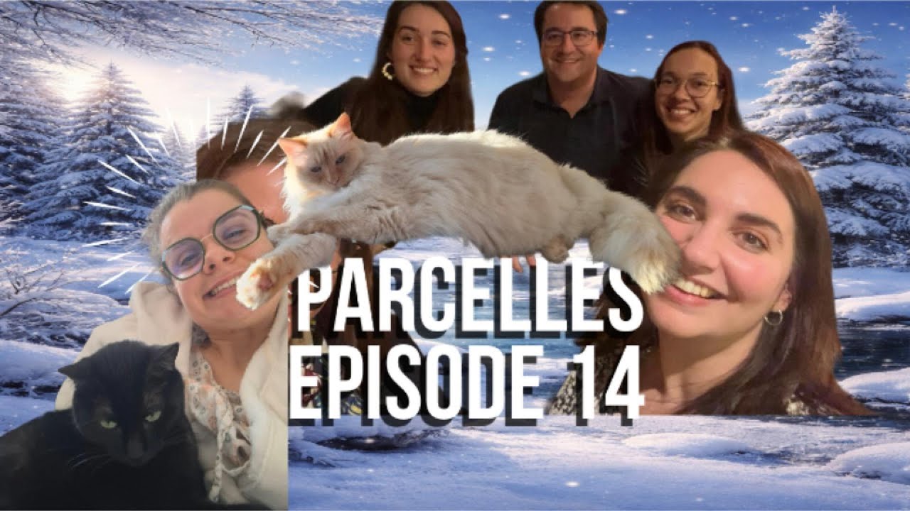 Parcelles 14 - Copaings, chats et sport.