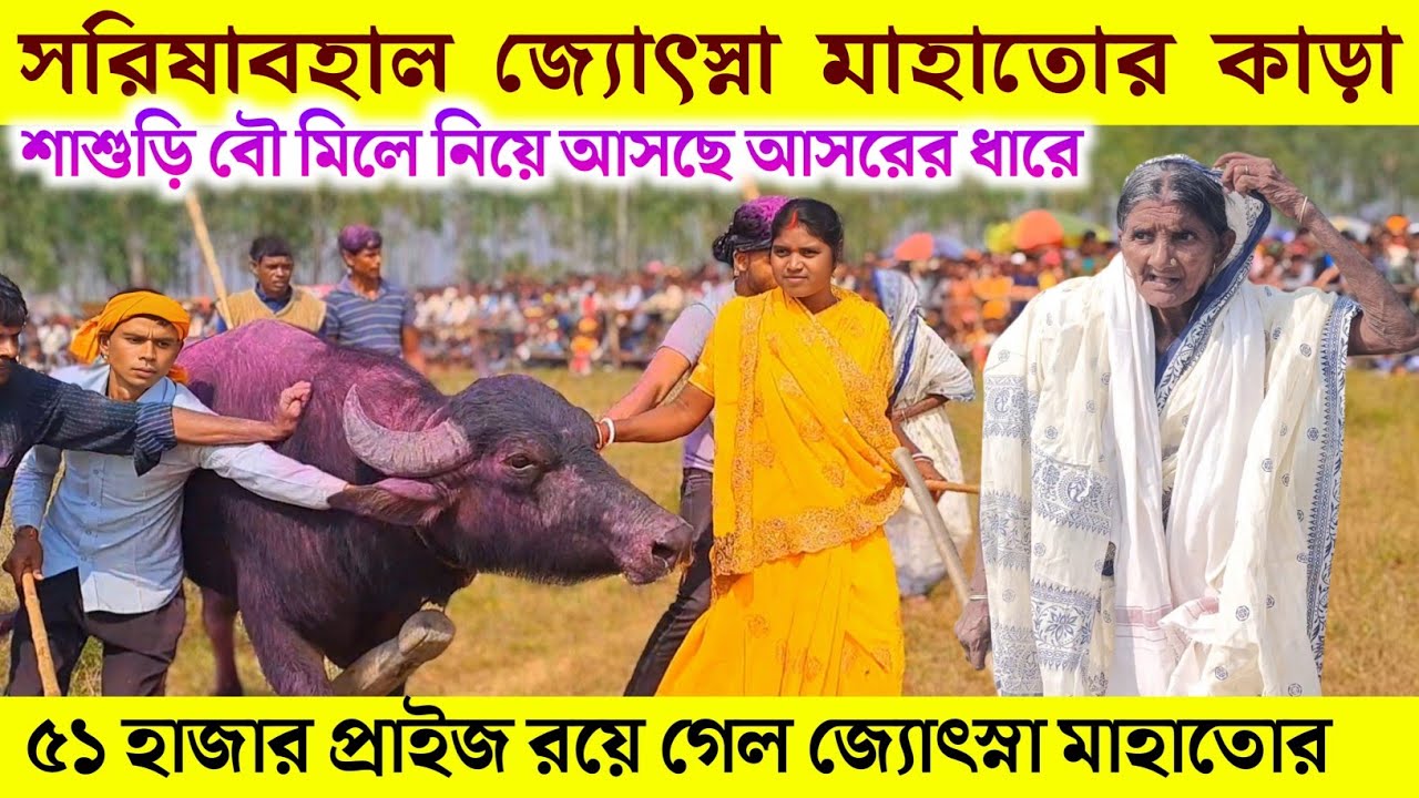 শাশুড়ি বৌ মিলে নিয়ে আসছে আসরের ধারে !! সরিষাবহাল - জ্যোৎস্না মাহাতোর কাড়ার তেজ দেখুন 