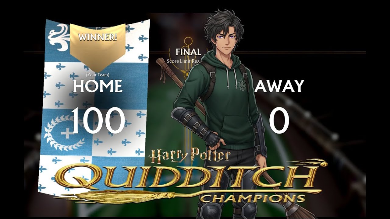 Harry Potter  Quidditch Champions   100 - 0