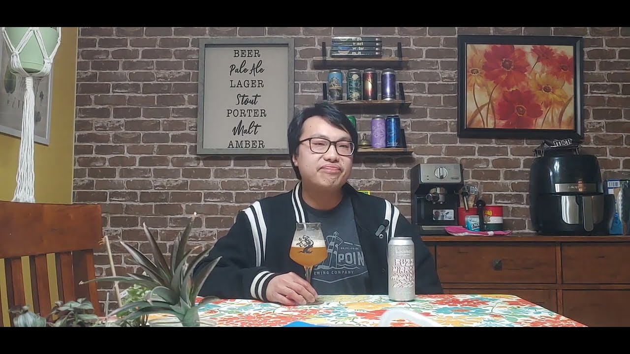 Sideward Fuzz Mirror (Clean and TASTY Hazy IPA!) Review - Ep. #3253