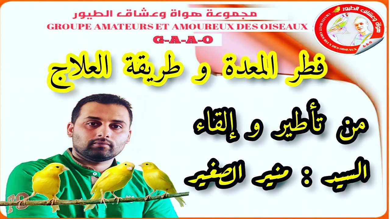 فطر المعدة المرض المعروف سابقا بإسم  ( mégabactérie ) طرق الوقاية و العلاج #howateltoyour