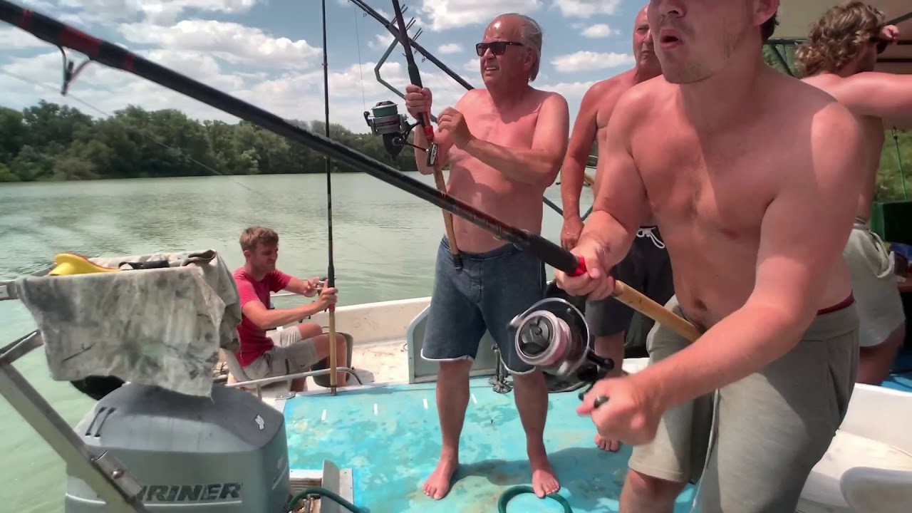 visen op de Ebro 121 meervallen in 5 dagen