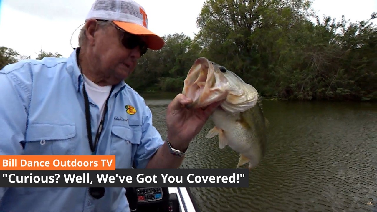 Curious? Well, We've Got You Covered | Bill Dance Outdoors TV (Full Episode)