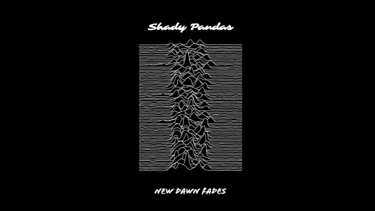 Shady Pandas - New Dawn Fades