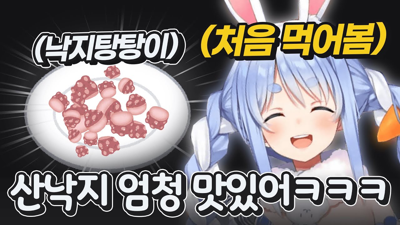 산낙지를 태어나서 처음으로 먹어본 페코라의 반응ㅋㅋㅋㅋㅋ [ 홀로라이브 우사다 페코라 ]