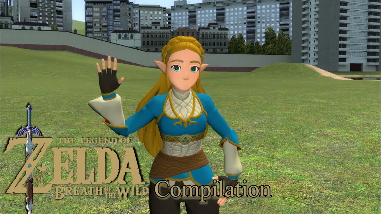 My Zelda Breath of the Wild Animations Compilation