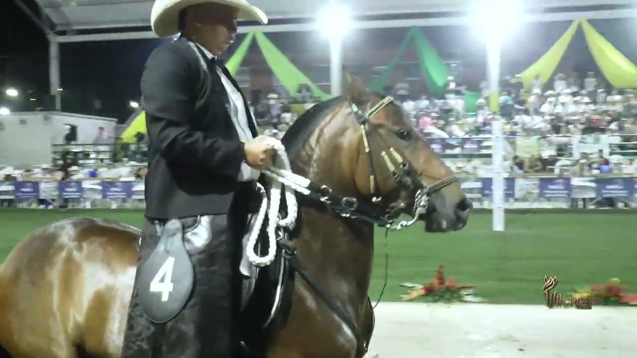ORQUIDEA DE SAN PEDRO, TERCER PUESTO CAMPEONATO JOVEN TROCHA Y GALOPE FESTIVAL EQUINO  PINTADA 2026