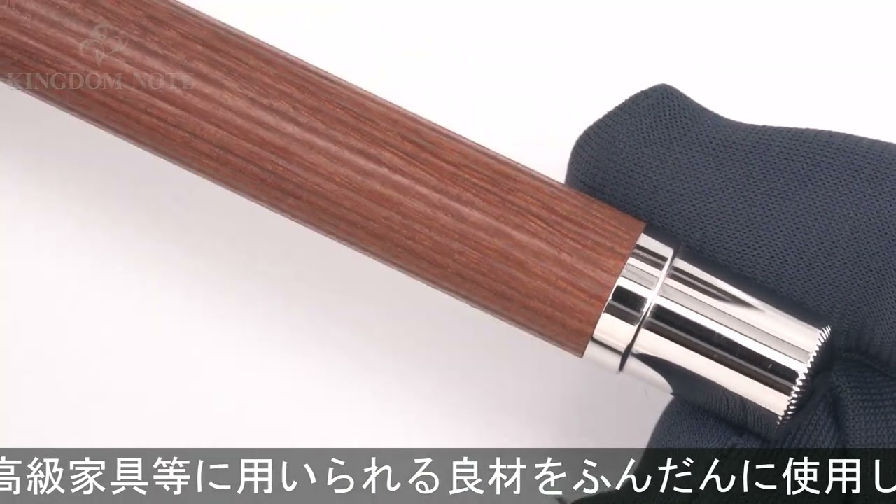 GRAF VON FABER-CASTELL グラフフォンファーバーカステル 万年筆 クラシックコレクション ペルナンブコ プラチナコーティング F