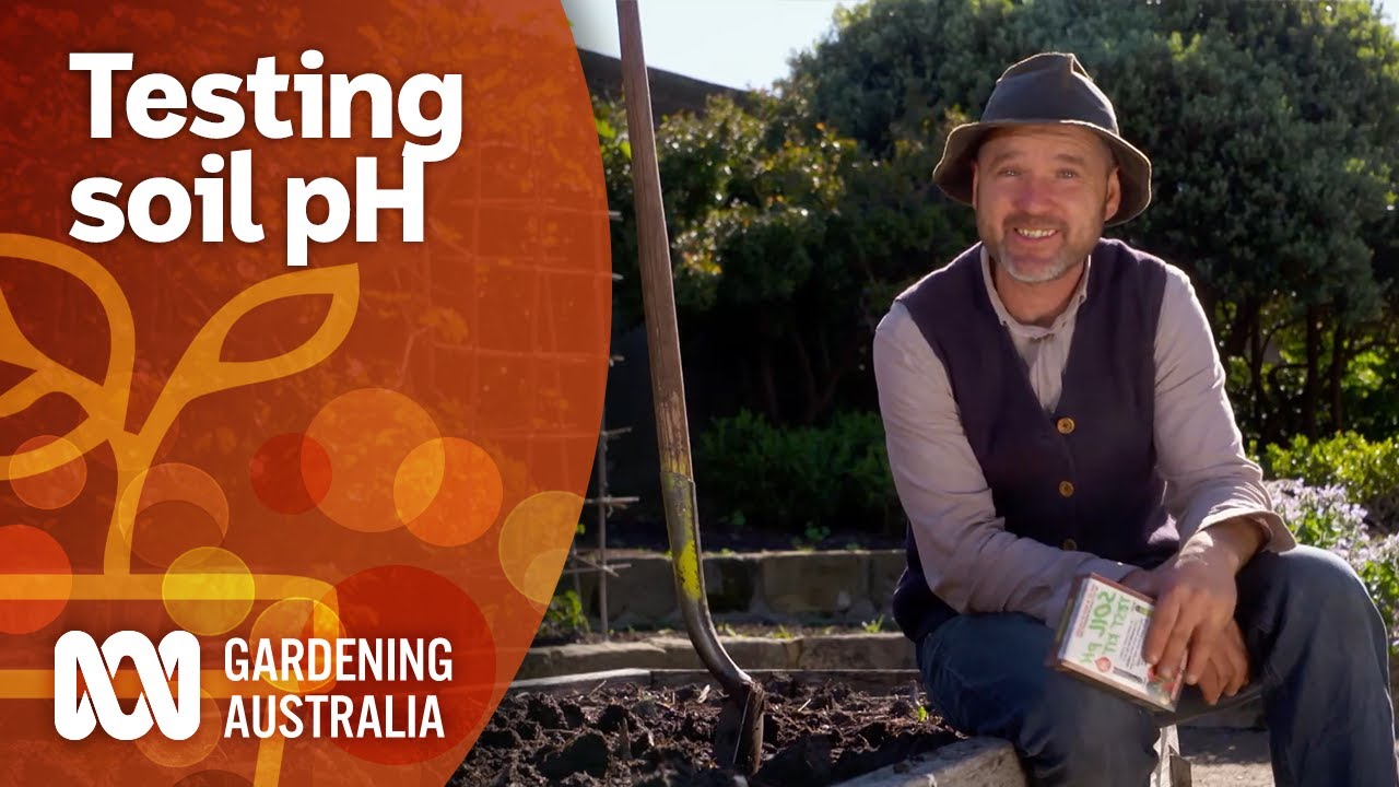 How to test your soil's pH and what it means for your plants | Gardening 101 | Gardening Australia