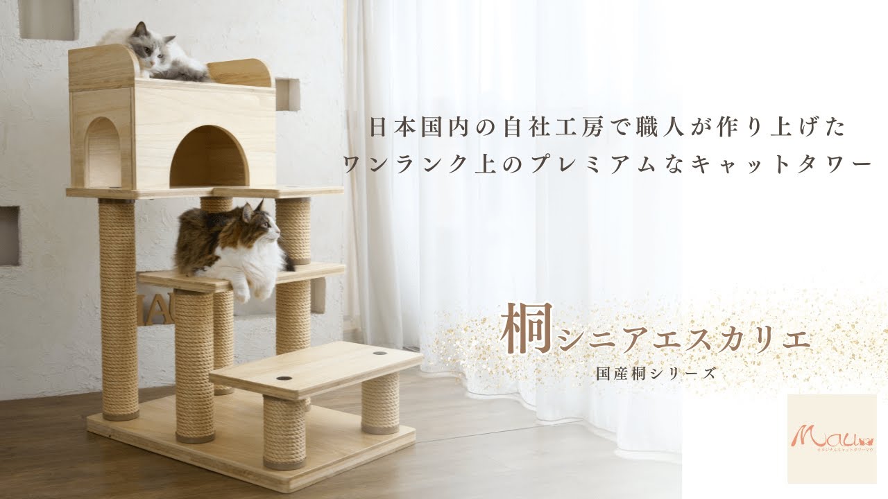 一生物の国産桐材キャットタワー【キャットタワー専門店Mau】　桐シニアエスカリエ