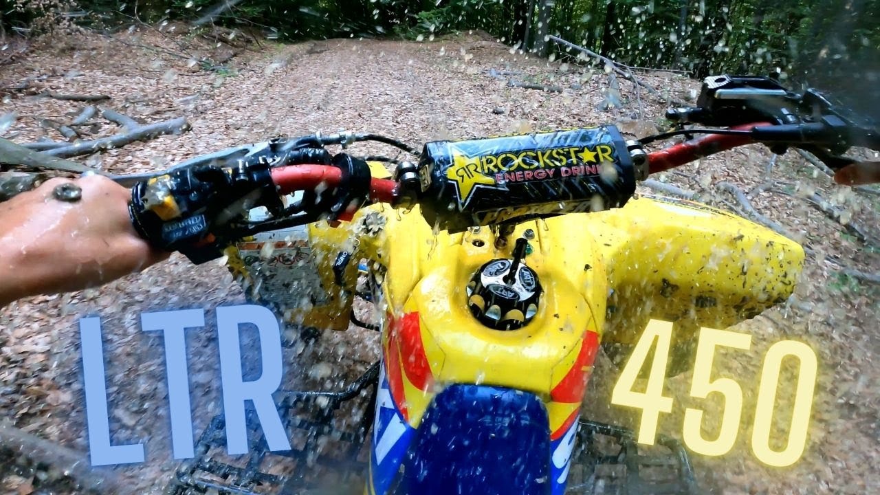LTR 450 IN THE FOREST