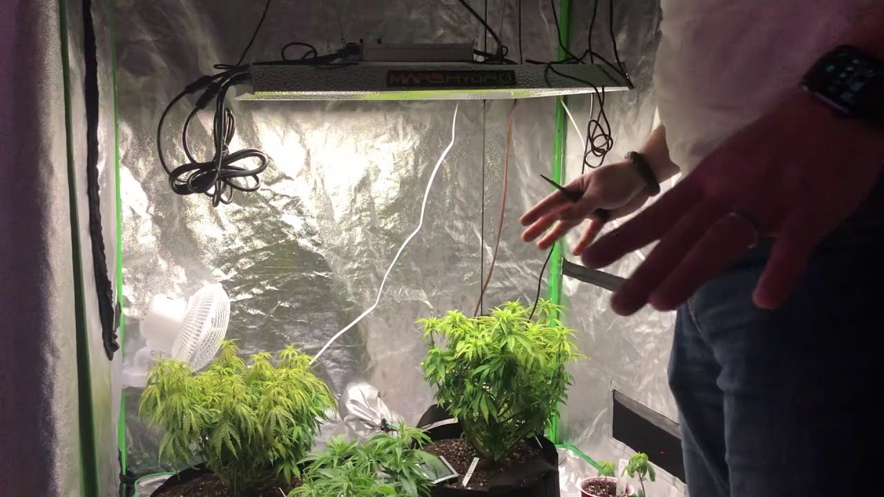 Adjusting the Mars Hydro TS3000