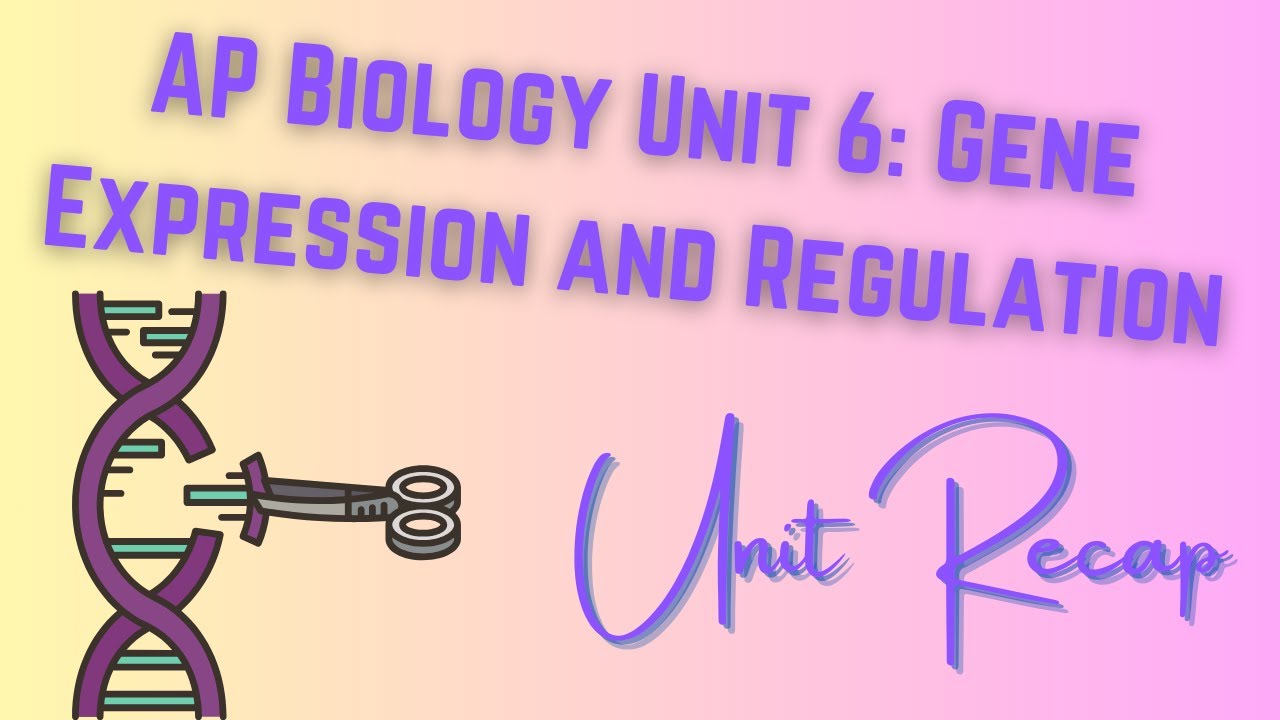 (2019 curriculum) Unit 6: Gene Expression and Regulation AP Biology RECAP