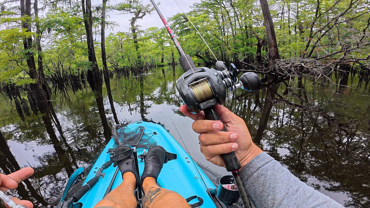 Where Tide Ends The Battle Begins...Cypress Grouper