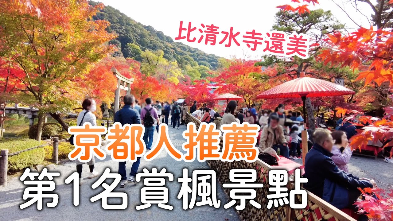京都人推薦的第一名賞楓景點｜不用加價就能搭的阪急觀光列車-雅洛| 比清水寺還美!永觀堂楓葉絕景|南禪寺.天授庵|古民家藍瓶咖啡｜日本旅遊vlog。生活日常。自由行景點美食推薦
