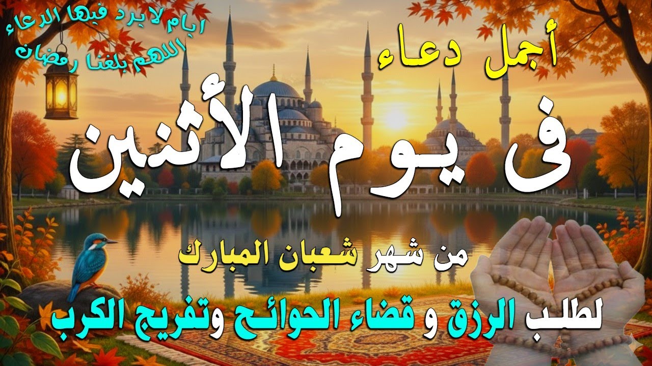 دعاء فى يوم الأثنين المستجاب دعاء في يوم 14  من شهر شعبان   للرزق والشفاء العاجل وقضاء الحوائج 🤲(4k)