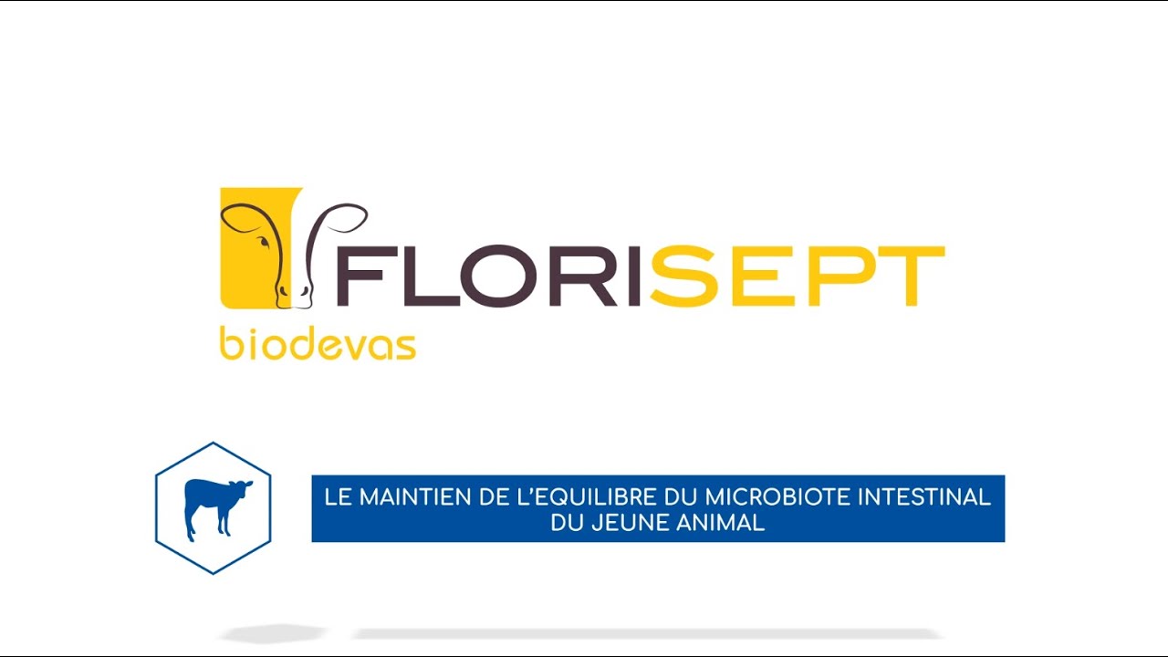Florisept : Le maintien de l'équilibre du microbiote intestinal du jeune animal // Ruminants
