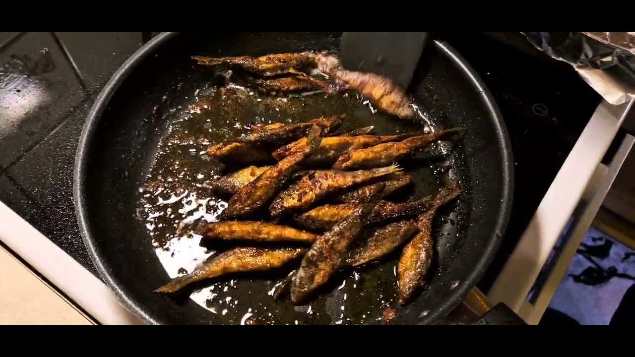 Summer delicacy: Fried vendaces (fresh from the lake)