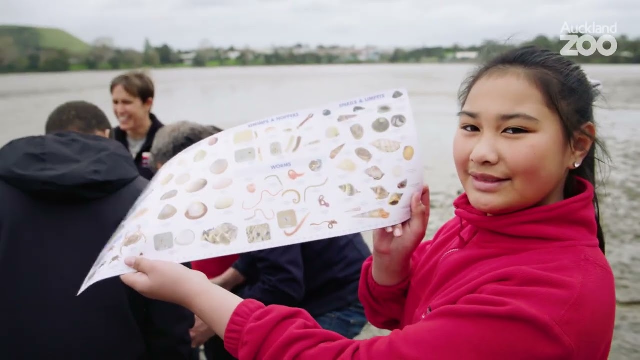 Stanhope Road School environmental education 2019