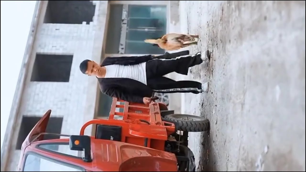 Why Your Dog Is Your BEST Daily Helper EVER