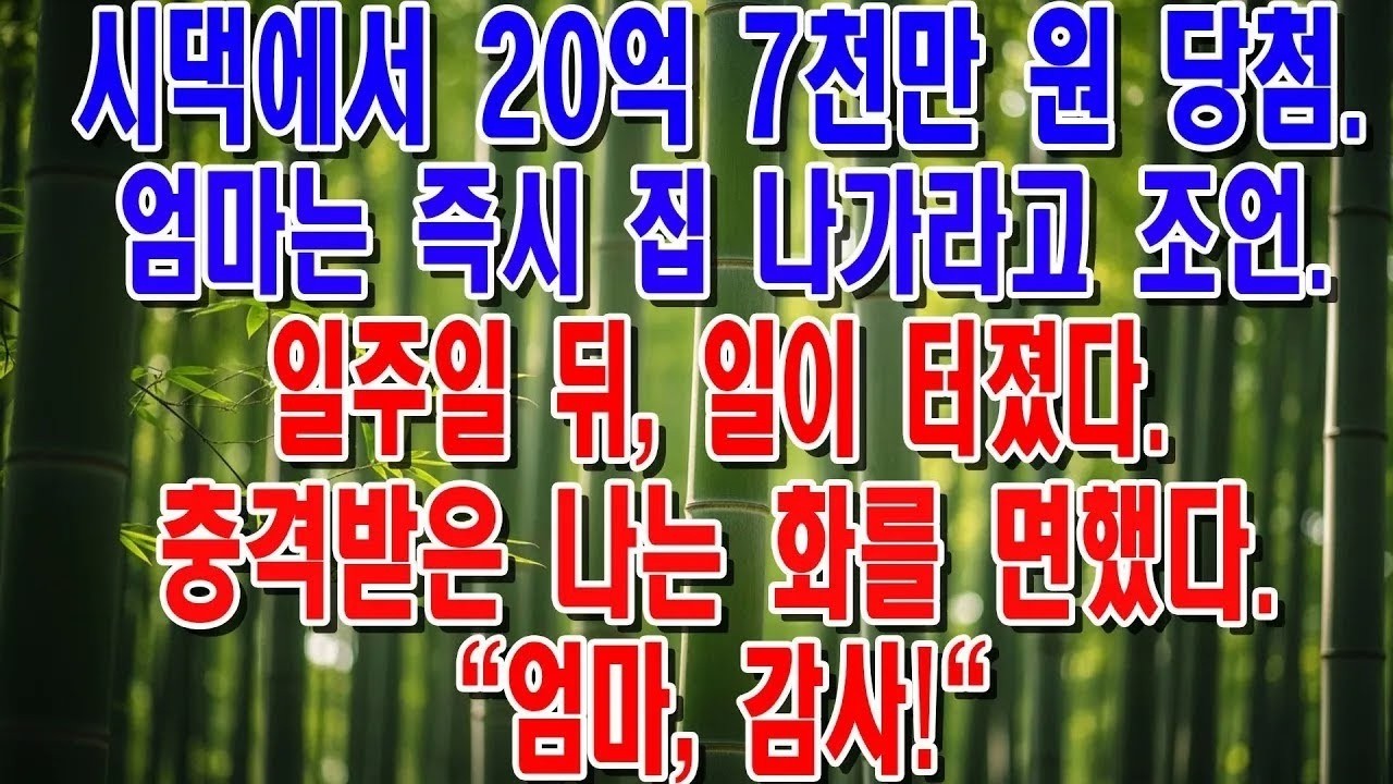 로또 20억 당첨되자마자 며느리 내쫓은 시어머니와 남편의 비참한 최후