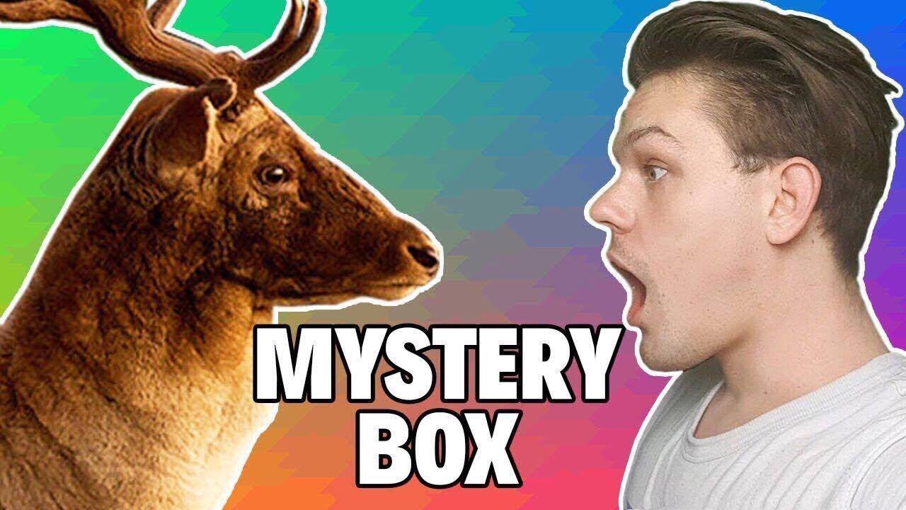 DOBIO SAM JELENA?! | JoomBoos Mystery box | Dennis Domian