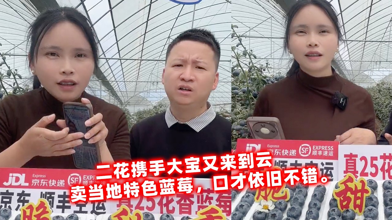 二花携手大宝又来到云南，卖当地特色蓝莓，口才依旧不错。