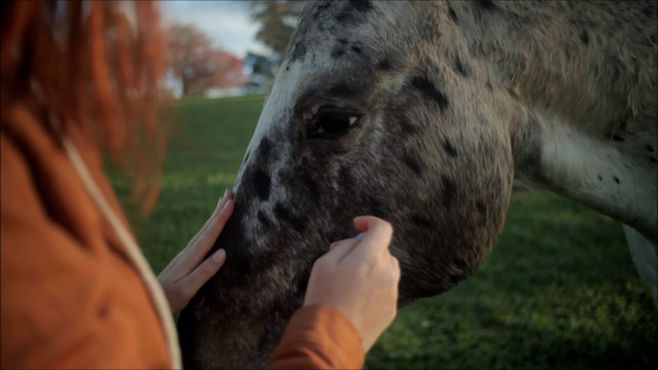 Strauja strauja upe tecēj - Trīs Latvijas tenori