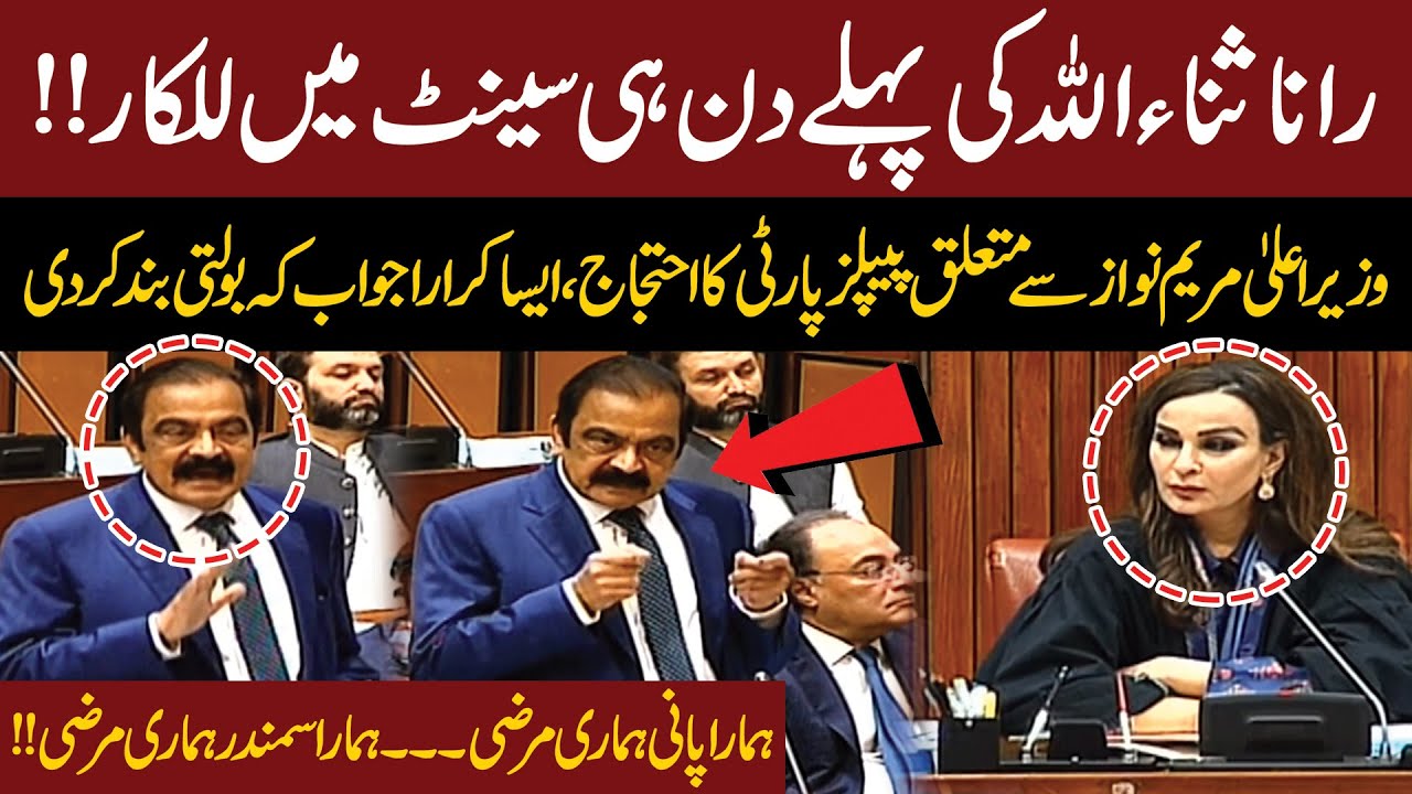 Rana Sanaullah Roars on First Day in Senate | PPP vs PMLN | Maryam Nawaz Statement | Viral Speech