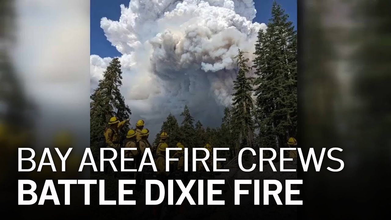 Bay Area Fire Crews Battle Northern California Wildfires