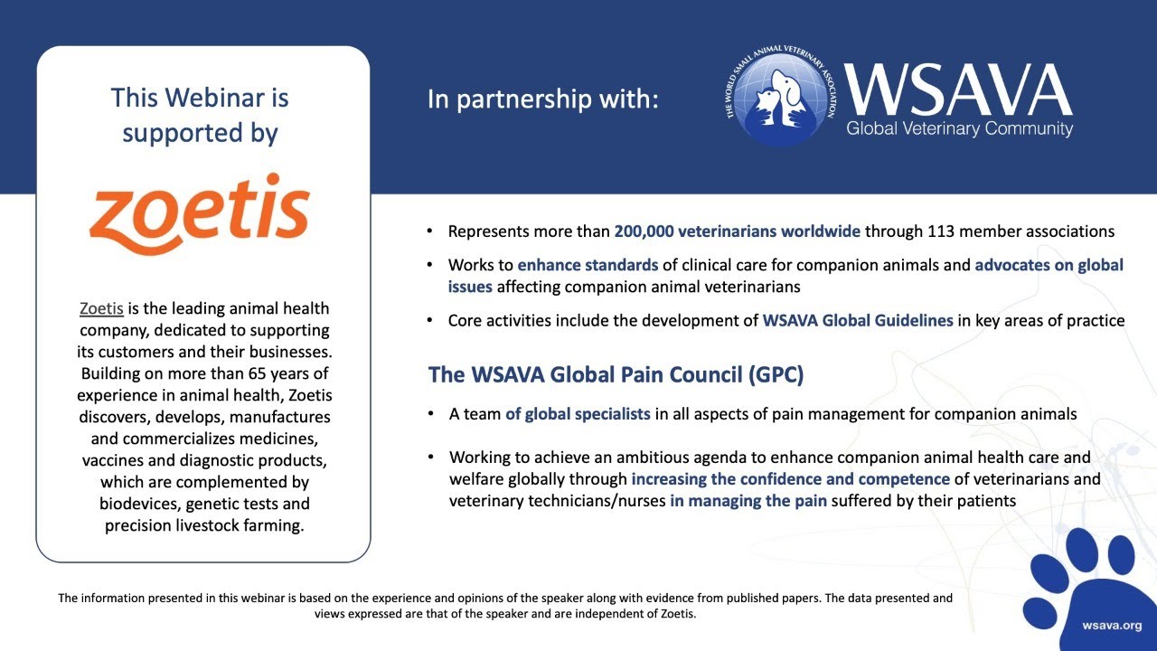 Zoetis Webinar (EN) on Osteoarthritis for Cats and Dogs - Evolving Science in Osteoarthritis (OA)